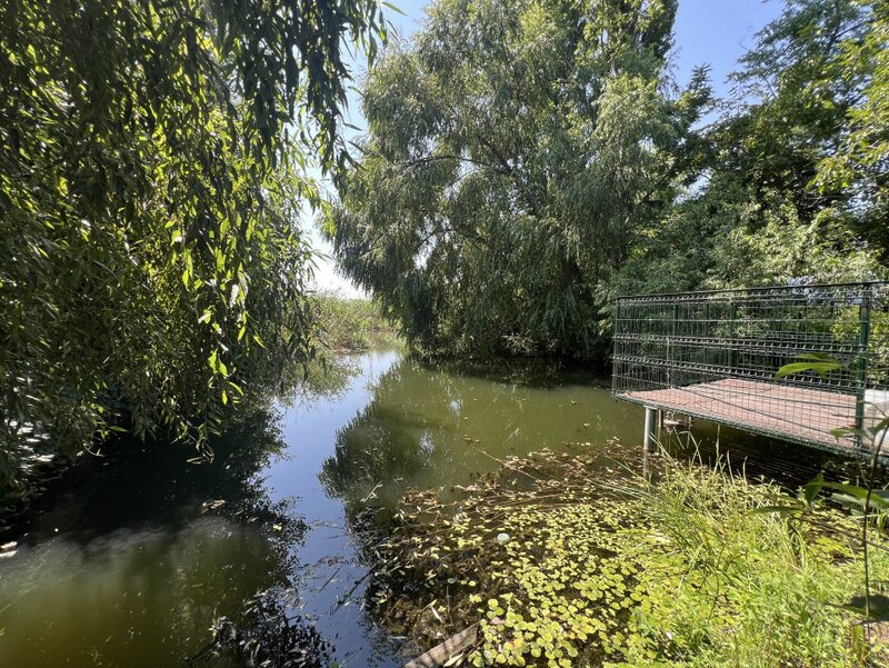 Manastirea Snagov, teren deschidere lac 22 m, front stradal 30 metri.